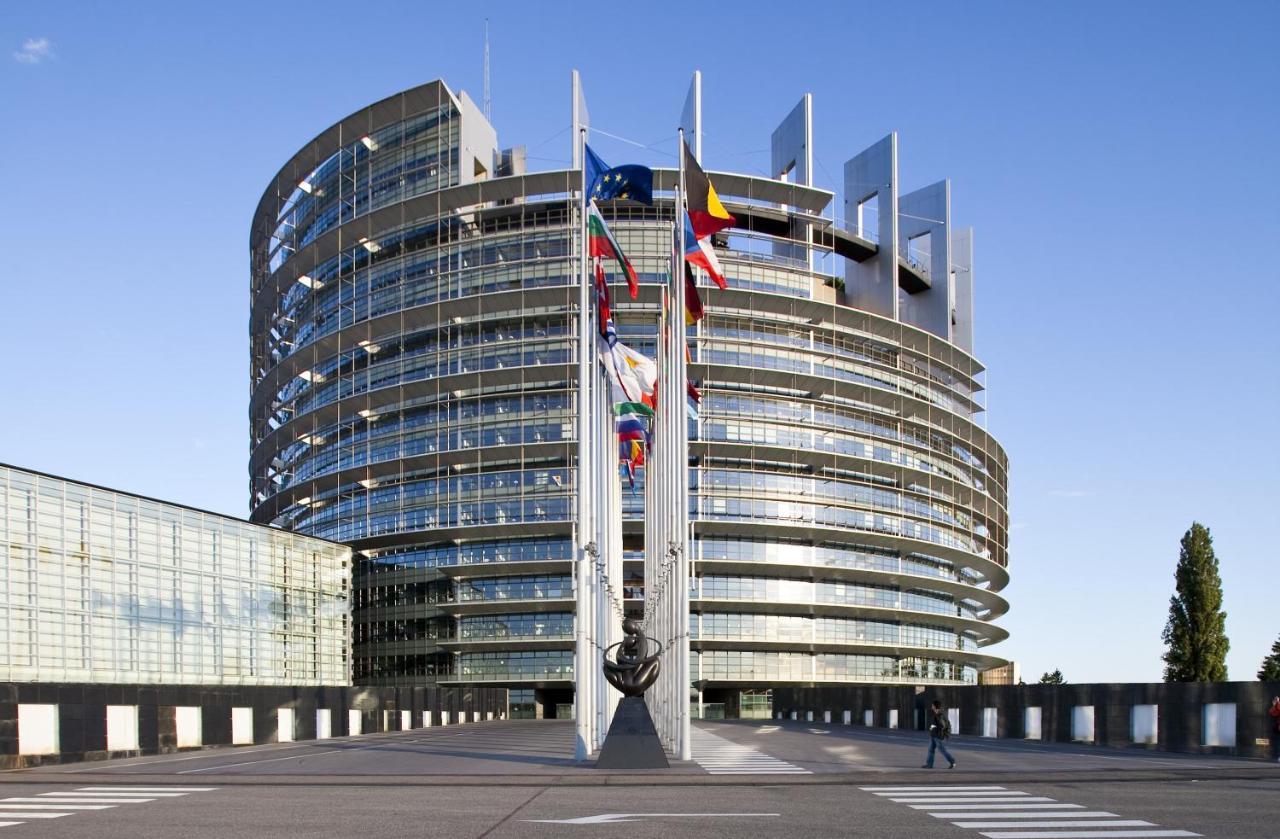 Green Cellar Studio Centre De Strasbourg - 5 Min Conseil De L'Europe المظهر الخارجي الصورة